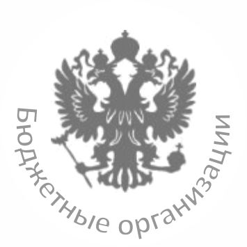инвинтаризация для бюджетных организация.jpg